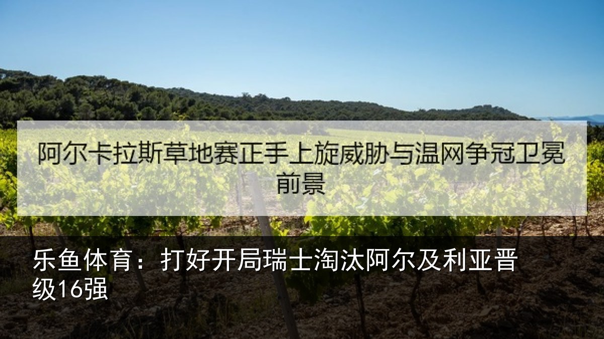 乐鱼体育：打好开局瑞士淘汰阿尔及利亚晋级16强