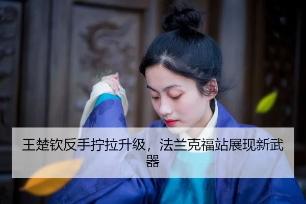 wang-chu-qin-fan-shou-ning-la-sheng-ji-fa-lan-ke-fu-zhan-zhan-xian-xin-wu-qi-2-597.jpg