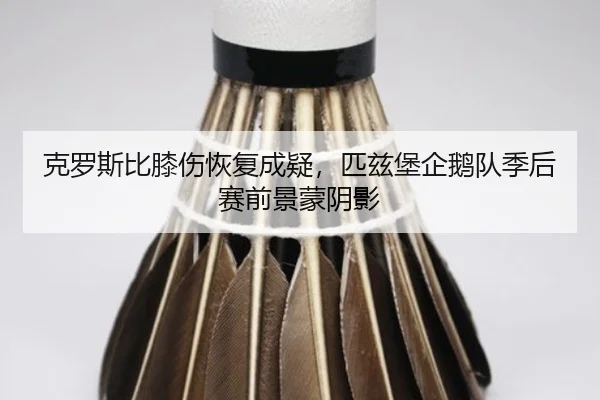 ke-luo-si-bi-xi-shang-hui-fu-cheng-yi-pi-zi-bao-qi-e-dui-ji-hou-sai-qian-jing-meng-yin-ying-2-347.jpg