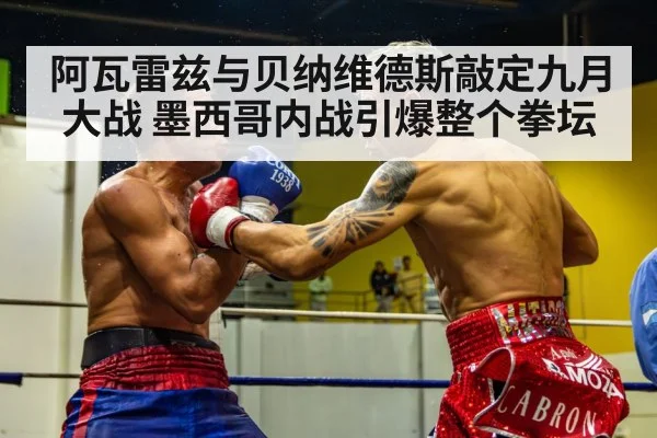 阿瓦雷兹与贝纳维德斯敲定九月大战 墨西哥内战引爆整个拳坛