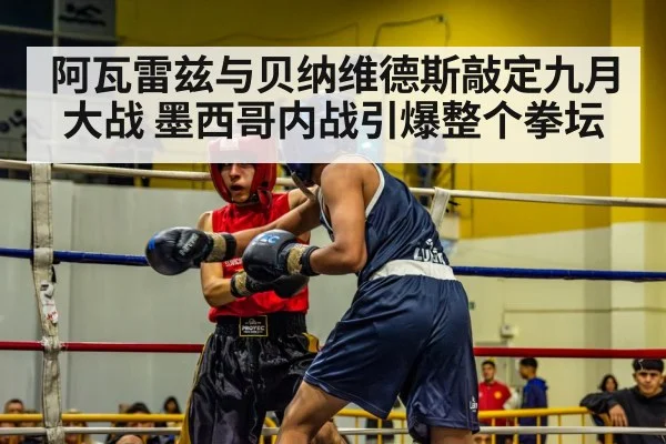 boxer in ring