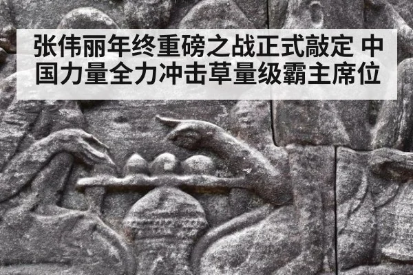张伟丽年终重磅之战正式敲定 中国力量全力冲击草量级霸主席位